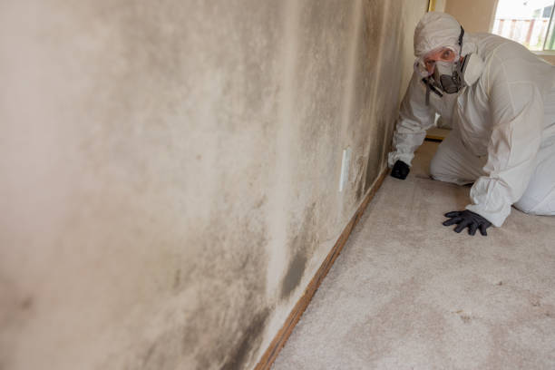 Best Post-Remediation Verification Testing  in Brooklyn, NY