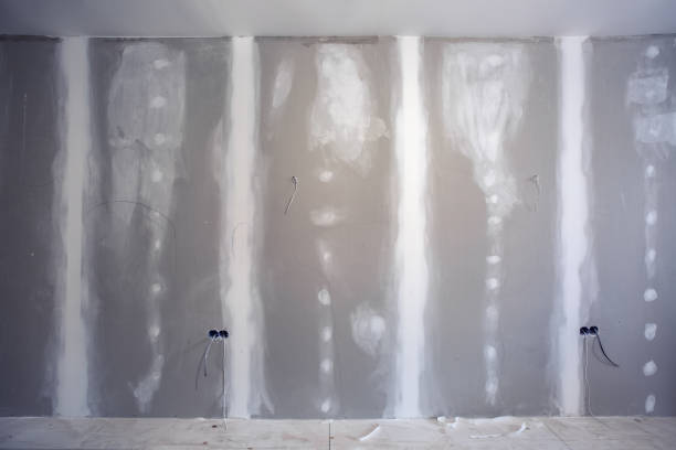 Best Environmental Consulting for Mold Prevention  in Brooklyn, NY